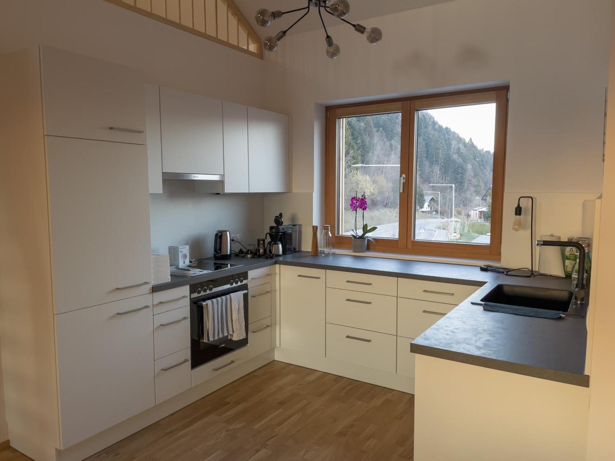 Gamsfels Josephine Galeriewohnung Langen Bei Bregenz Luaran gambar